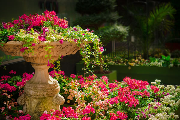interior landscaping services in NJ 