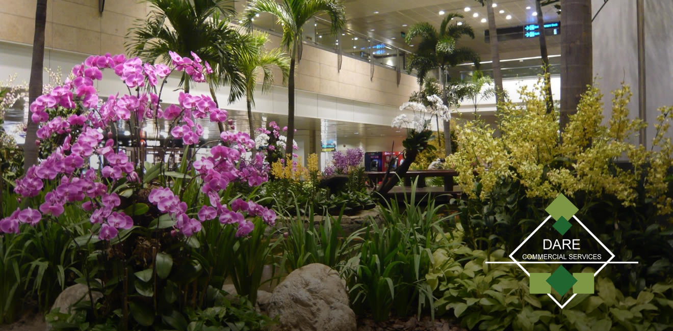 NJ Commercial Services - Commercial Interior Landscaping