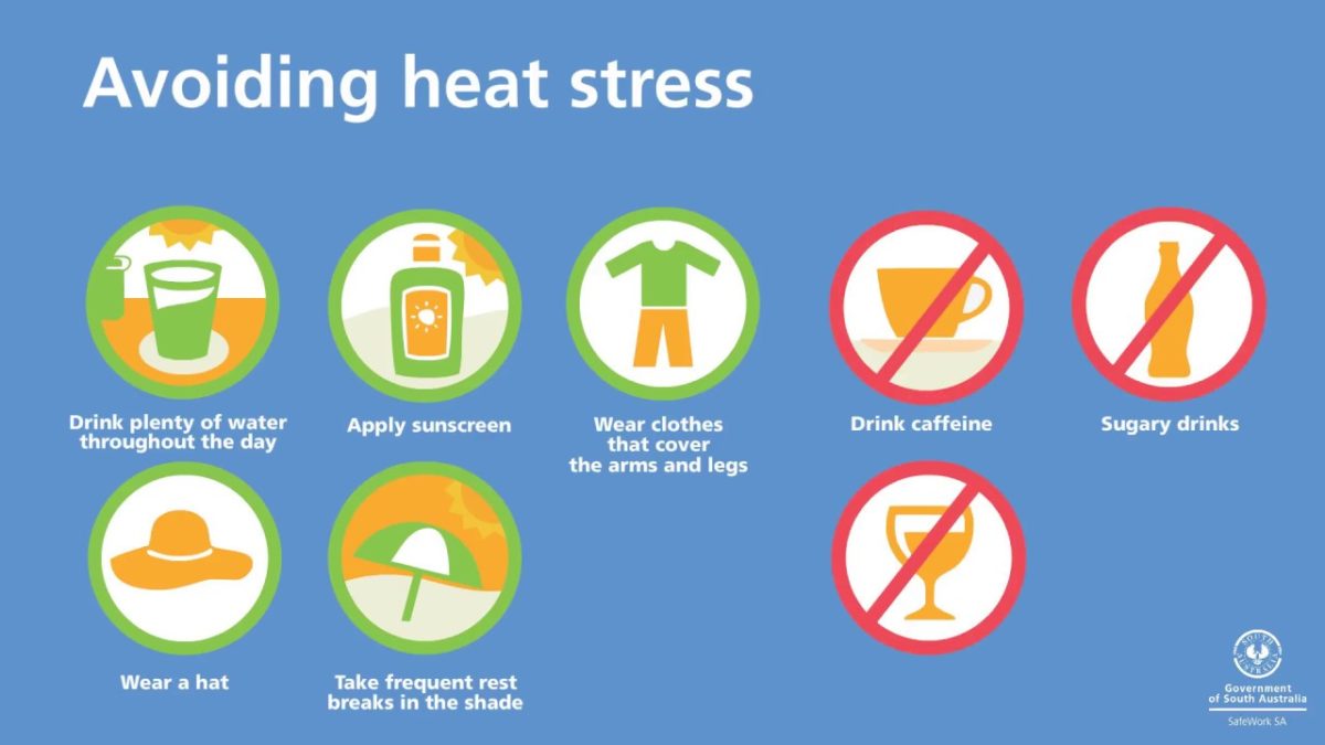 A diagram showing what to do and not to do while avoiding summer heat stress