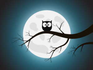 A cartoon of a night owl on a branch with the full moon behind it.