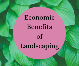 Some green leaves and the title, "Economic Benefits of Landscaping"