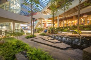 A photo of a mall with interior landscaping.
