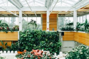 The Psychological Benefits of Landscaping: A photo of a green office space full of plants.