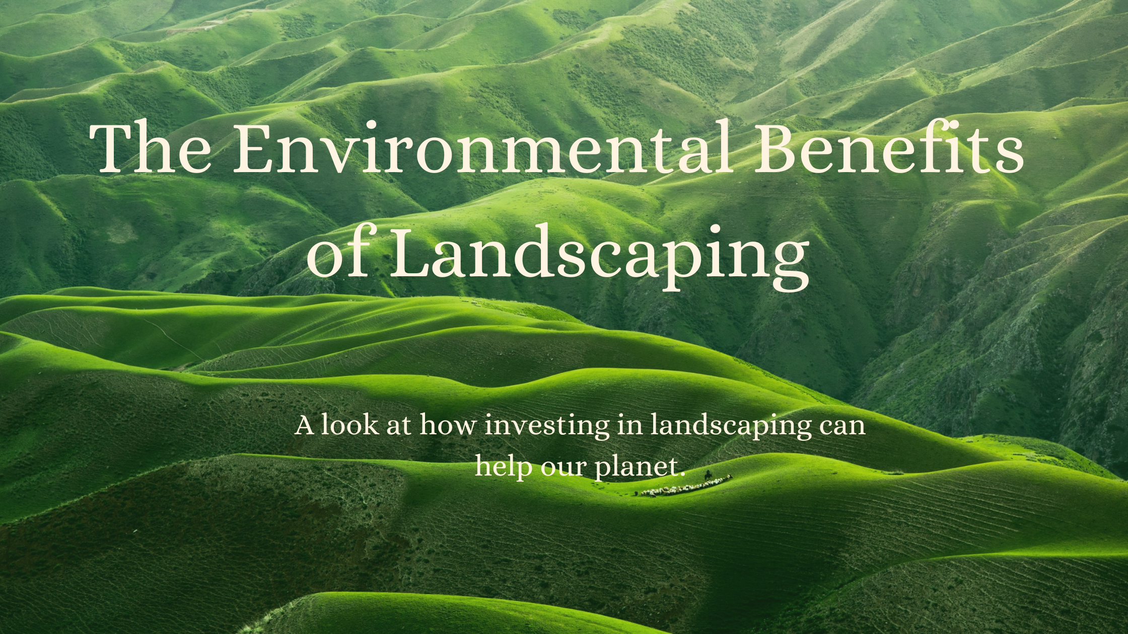 An image of green hills. With the text: The Environmental Benefits of Landscaping. A look at how investing in landscaping can help our planet.