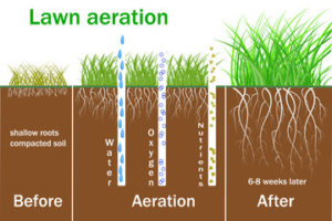 An illustration depicting the benefits of aeration.