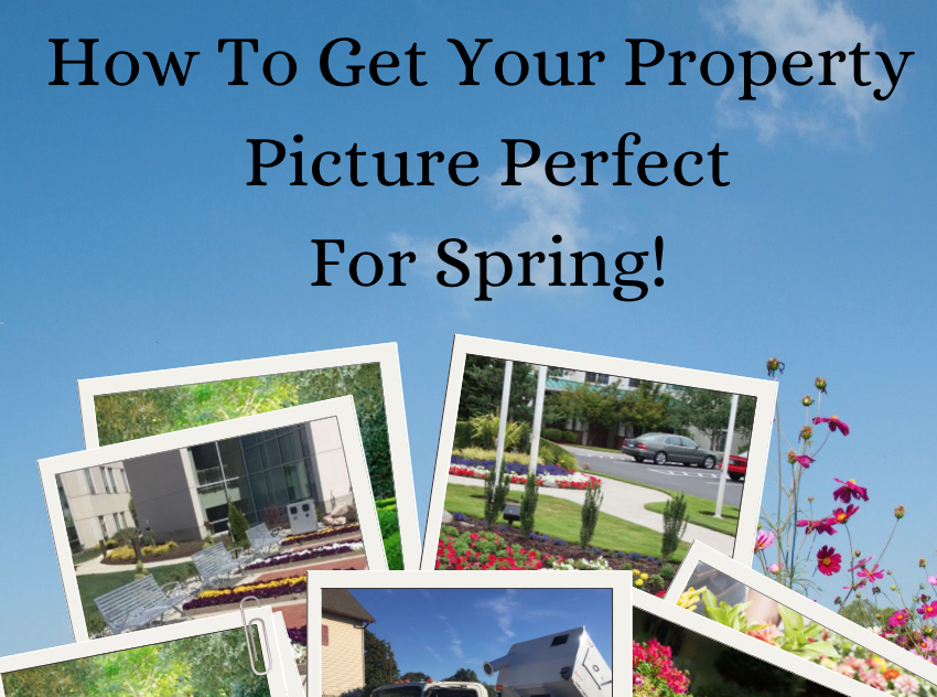 How to get your property for picture perfect for spring!