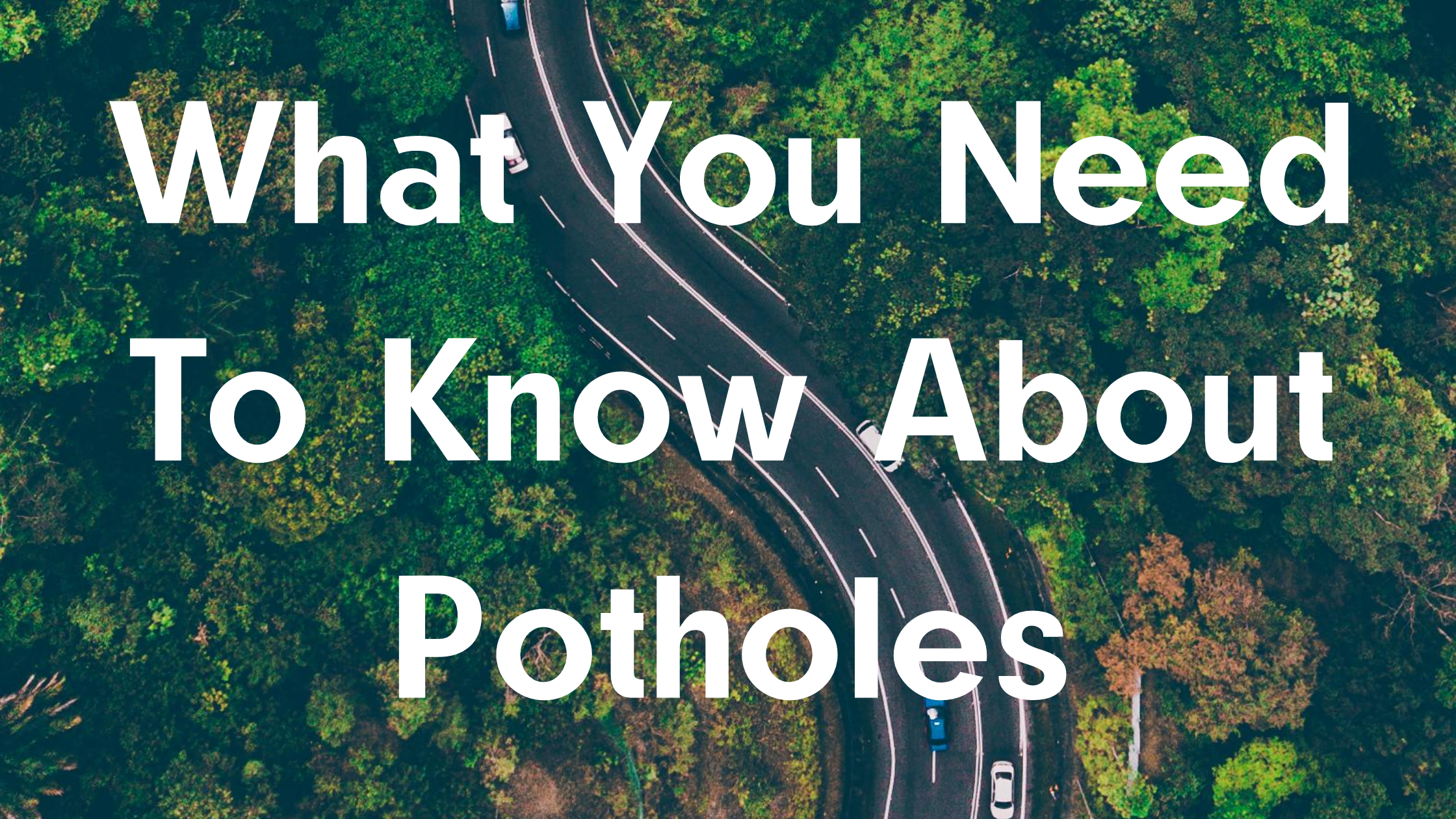 An image of a winding road with trees on either side with the text: What You Need To Know About Potholes