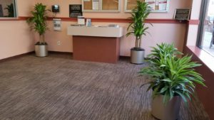 Interior Landscaping: Some simple potted plants in a lobby.
