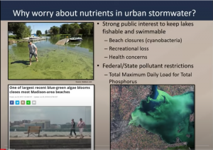 A slide from a presentation showing different algae blooms and describing why an excess of nutrients in urban stormwater can be problematic. 