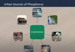 A diagram showing some of the urban sources of phosphorus such as lawn run off, pet waste, and more. 