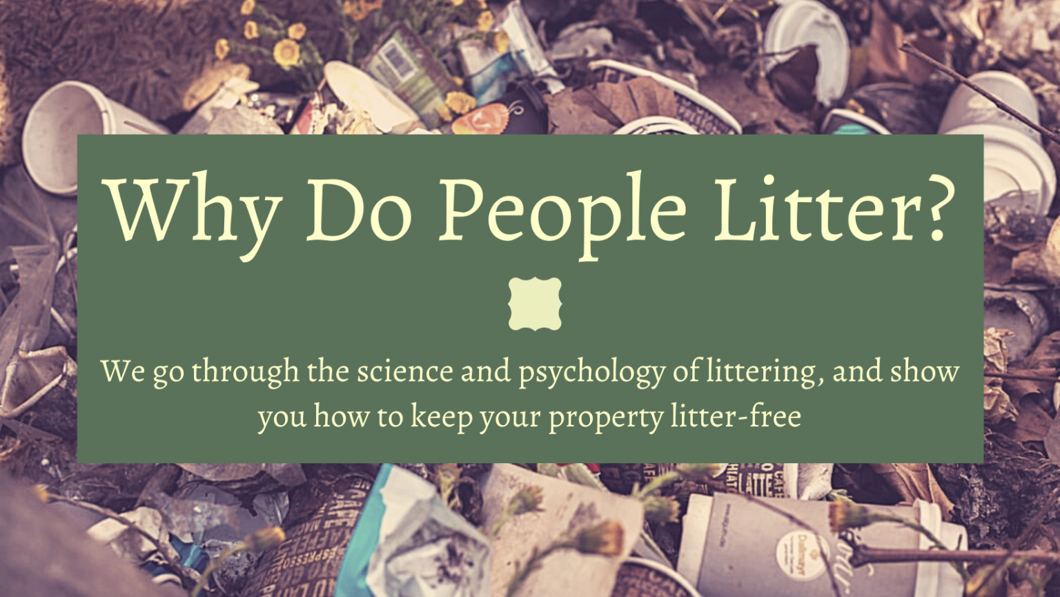 littering-call-dare-why-do-people-litter-blog