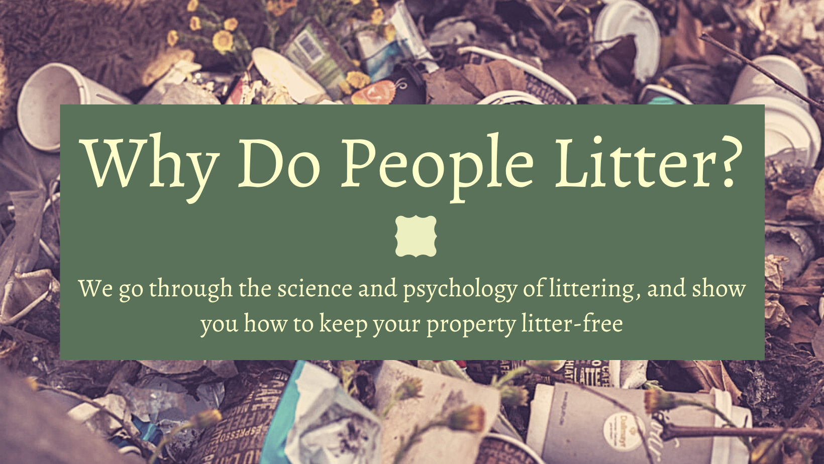 A photo of litter, with the text: Why do people litter? We go through the science and psychology of littering, and show you how to keep your property litter-free.