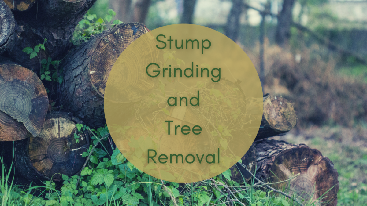 A photo of some logs piled in the grass with the text: Stump Grinding and Tree Removal