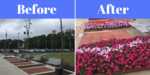 Before and after photos of flowerbeds being installed--Why Landscaping is Worth the Investment