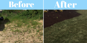 Before and after photos of redoing a client's lawn--Why Landscaping is Worth the Investment