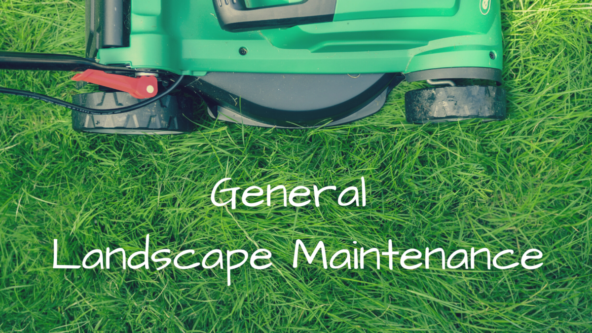 A photo of a lawnmower (from above) on green grass with the text: General Landscape Maintenance