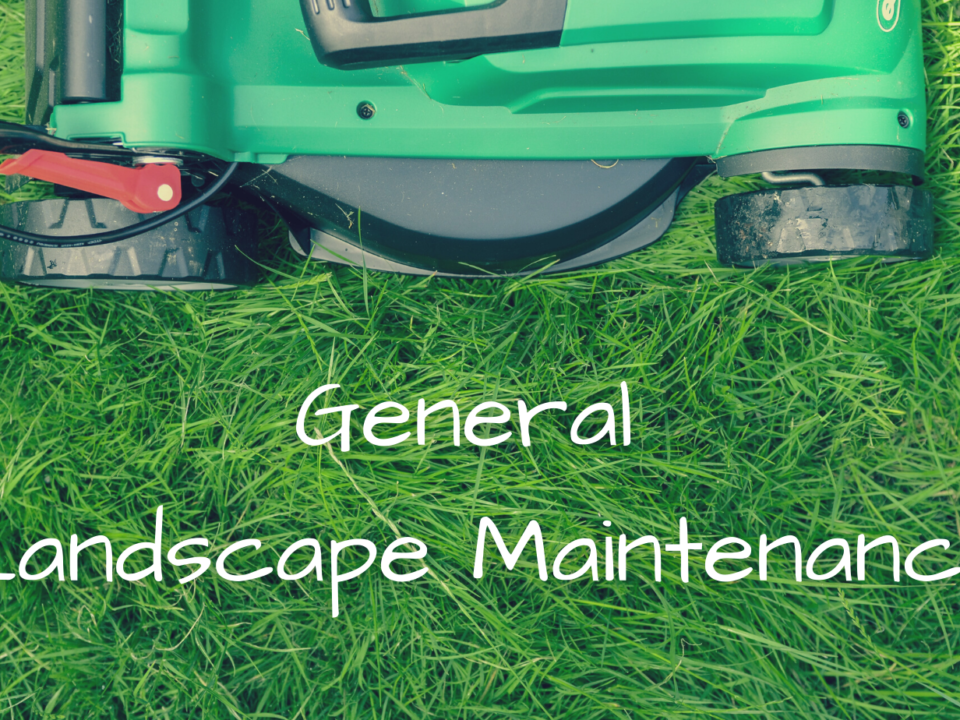A photo of a lawnmower (from above) on green grass with the text: General Landscape Maintenance