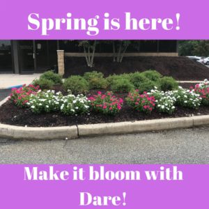 A photo of flowers with the text: Spring is here! Make it bloom with Dare!