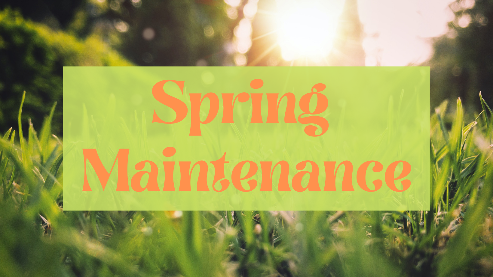 A close up of green grass with the sun in the background with text that reads: Spring Maintenance.