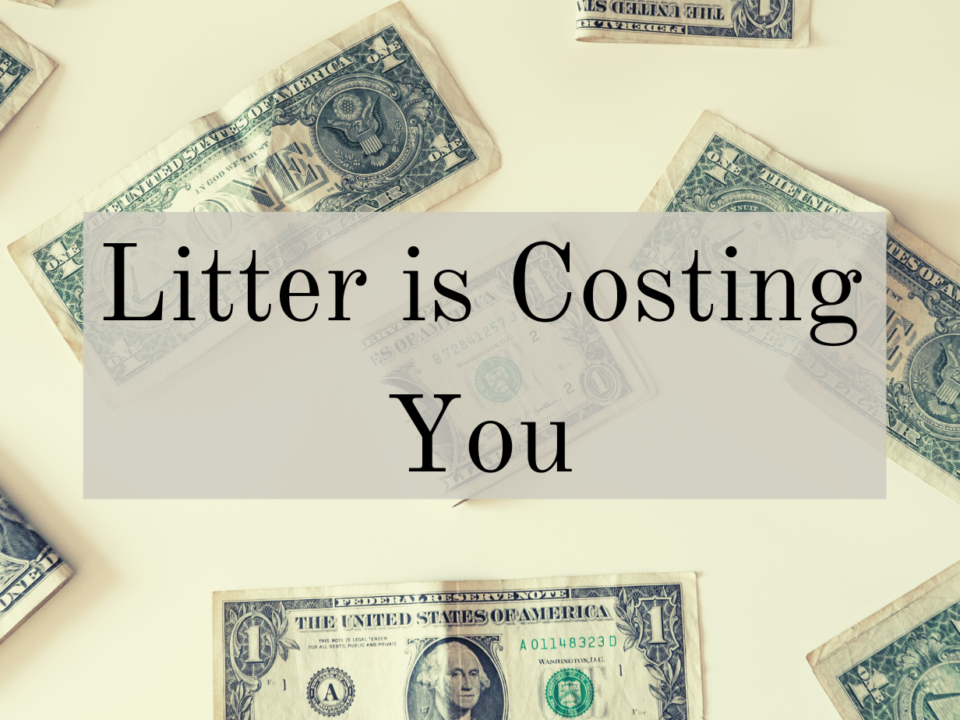 Litter is Costing You
