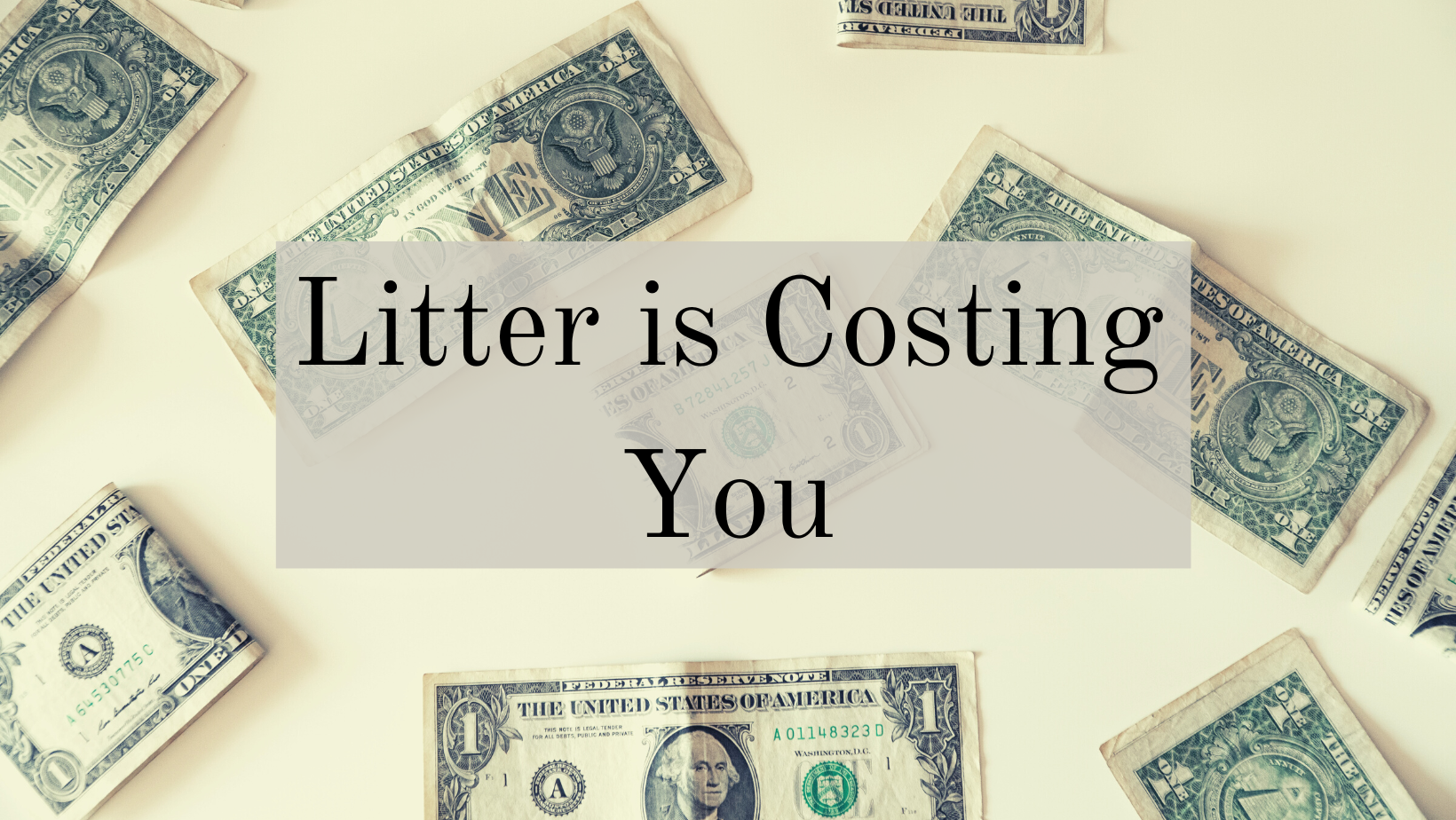 A photo of dollar bills with the text: Litter Is Costing You