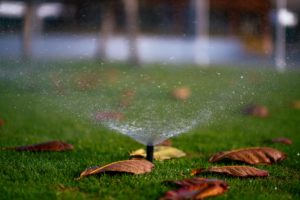 Autumn Checklist: An image of a lawn sprinkler