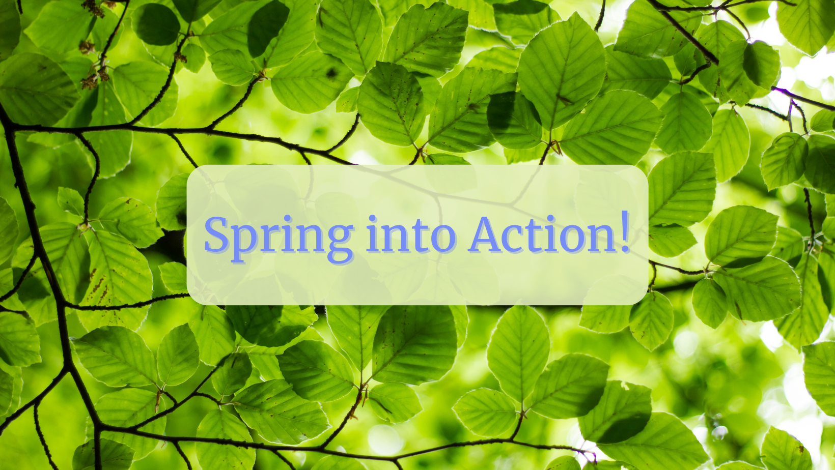 A photo of spring leaves with the text, Spring into Action!