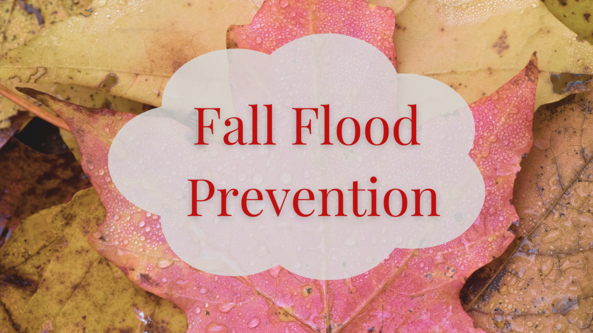 A photo of wet leaves with an image of a cloud and the text: Fall Flood Prevention.