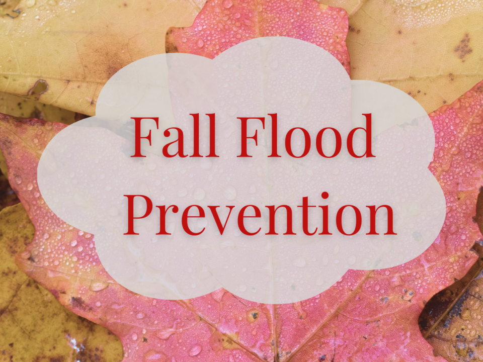 A photo of wet leaves with an image of a cloud and the text: Fall Flood Prevention.