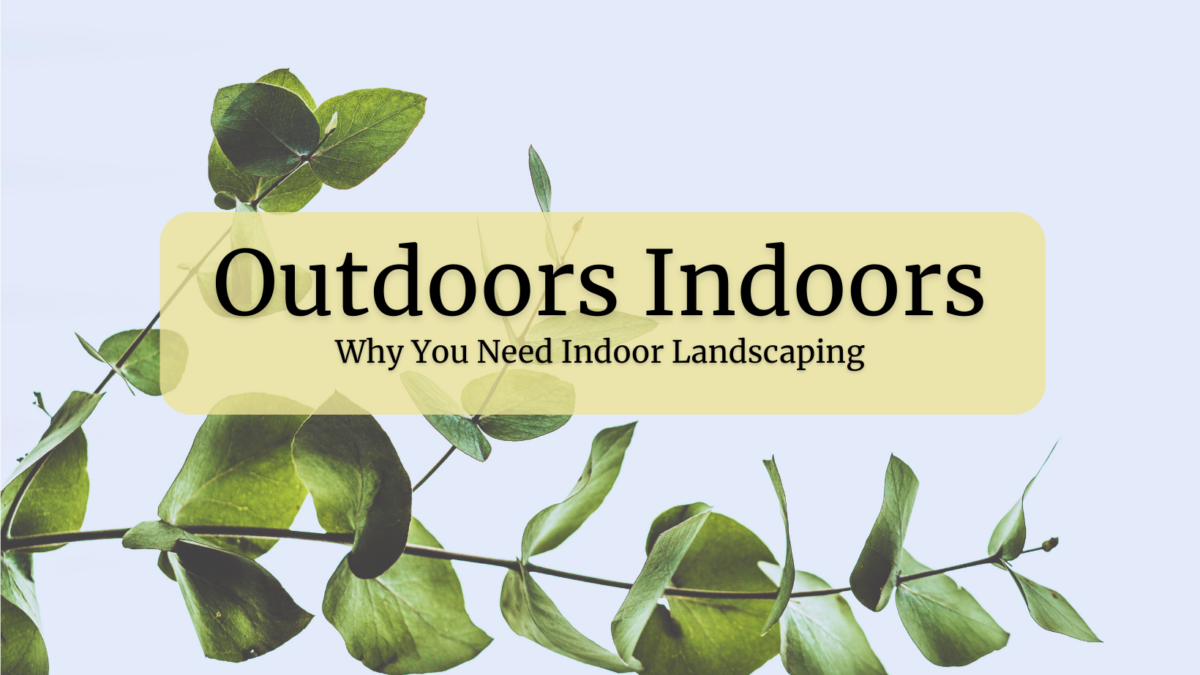 A photo of a vine with some leaves and the text, “Outdoors Indoors: Why You Need Indoor Landscaping.”