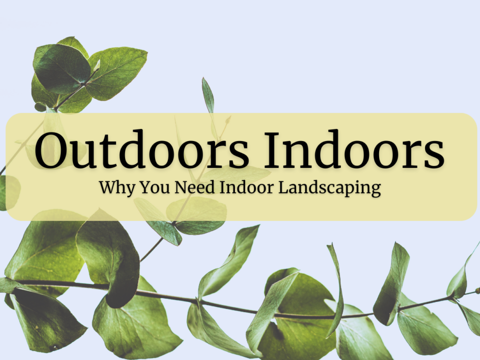 A photo of a vine with some leaves and the text, “Outdoors Indoors: Why You Need Indoor Landscaping.”