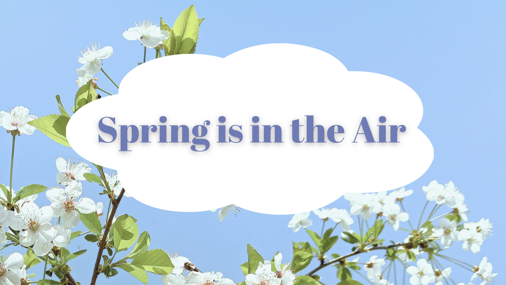 Image shows some budding flowers against a blue sky. In the foreground there is a cartoon cloud with text that reads, "Spring is in the Air."
