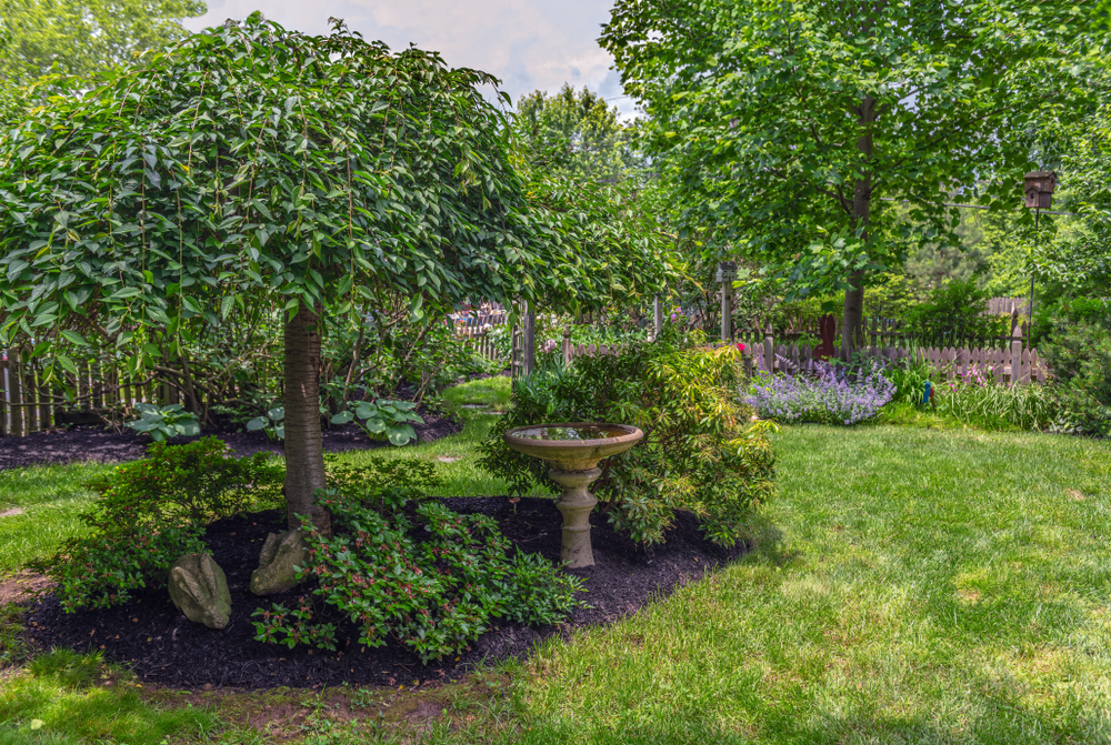 The,Greens,Of,Summer,In,This,Backyard,Garden,In,Crntral