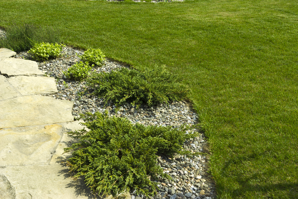 commercial landscaping services abington pa
