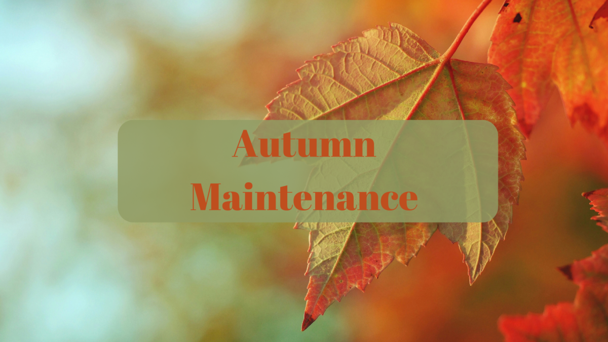 A colorful photo of an autumn leaf with the text, "Autumn Maintenance."