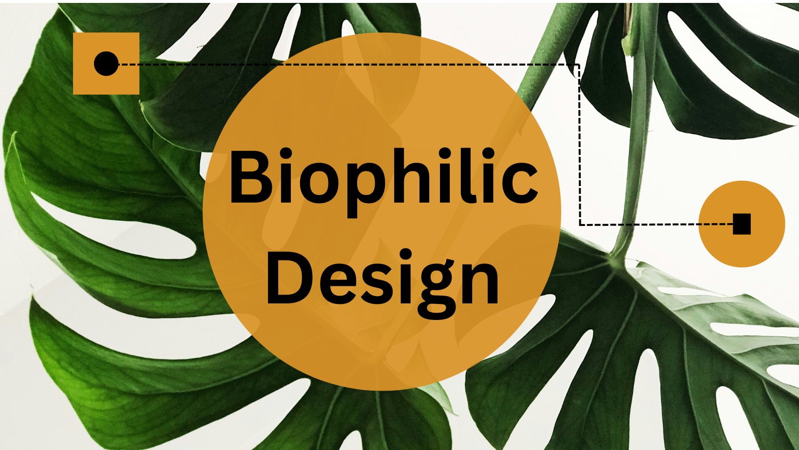 A picture of leafy greens with the text, "Biophilic Design."